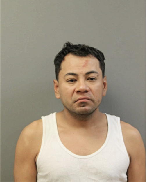 BLADIMIR SORIANO, Cook County, Illinois
