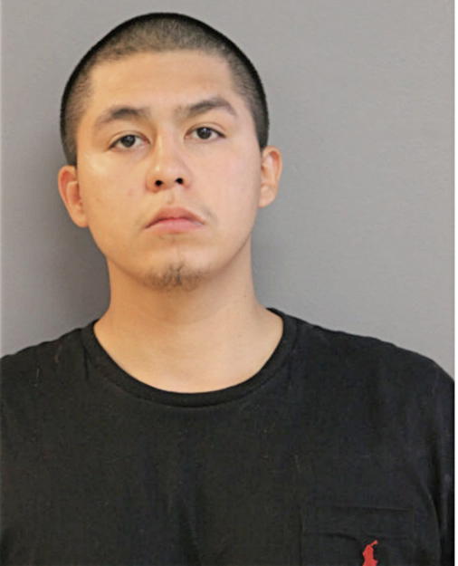 ARMANDO TORRES, Cook County, Illinois