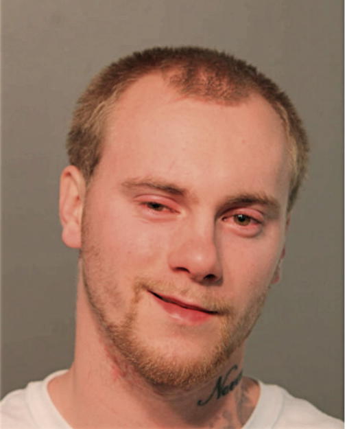 ANDREW VLK, Cook County, Illinois