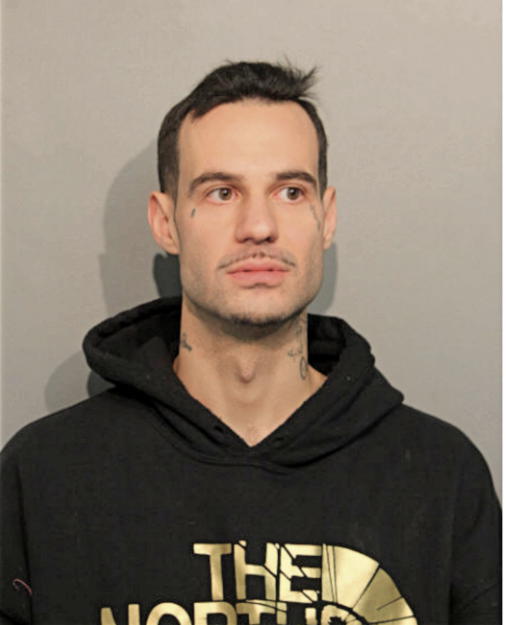 BRIAN T WALLACE, Cook County, Illinois