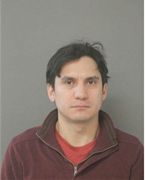 ANGEL S ZAMBRANO-TENESACA, Cook County, Illinois