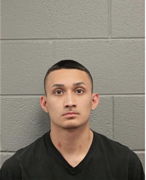 ARNULFO ALVARADO, Cook County, Illinois