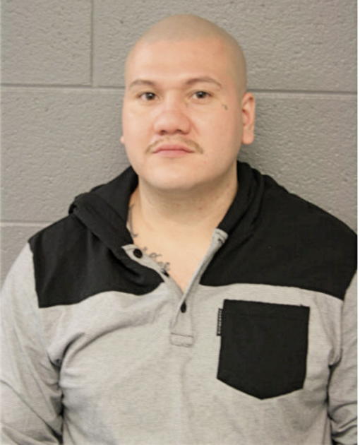 VICTOR J AVILES, Cook County, Illinois