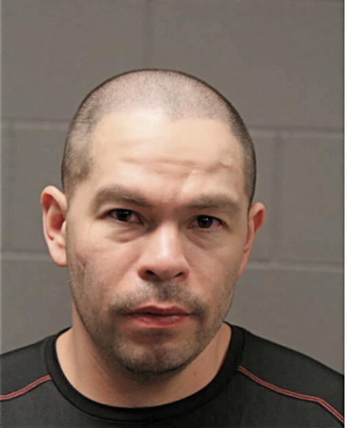 ERICK BRITO, Cook County, Illinois