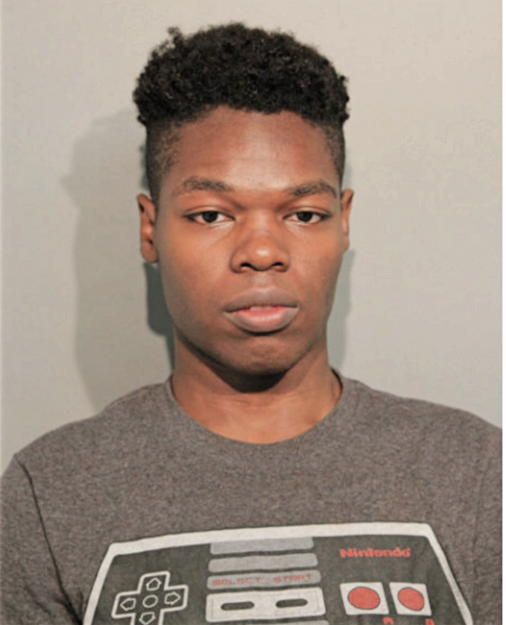 DREW'ELLIS ANTHONY BURRELL, Cook County, Illinois