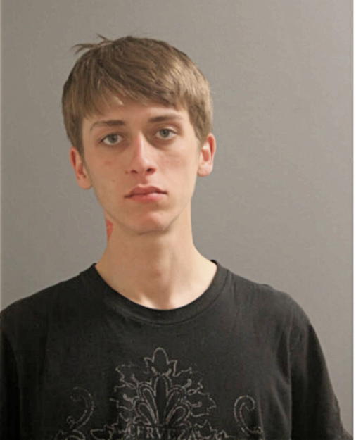 GEORGIEV G CHUDOMIR, Cook County, Illinois