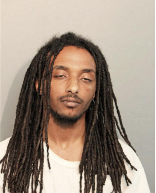 SAMUEL ENDALKAHEW, Cook County, Illinois