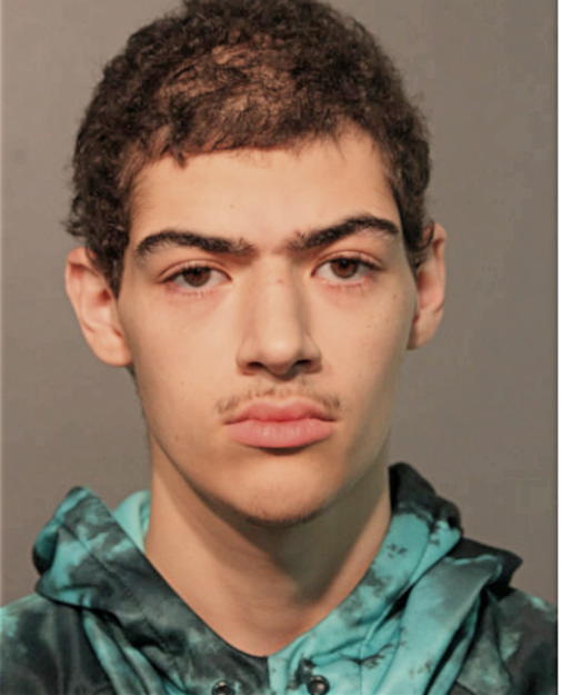 REYNALDO FIGUEROA, Cook County, Illinois