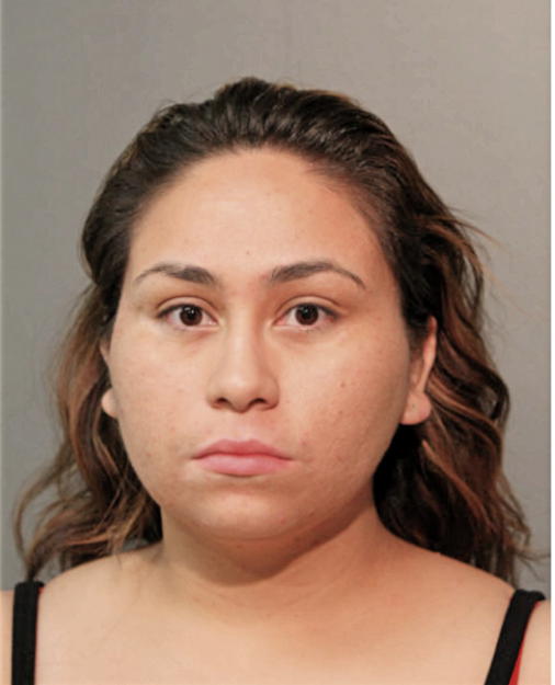 CINDY I GARCIA, Cook County, Illinois