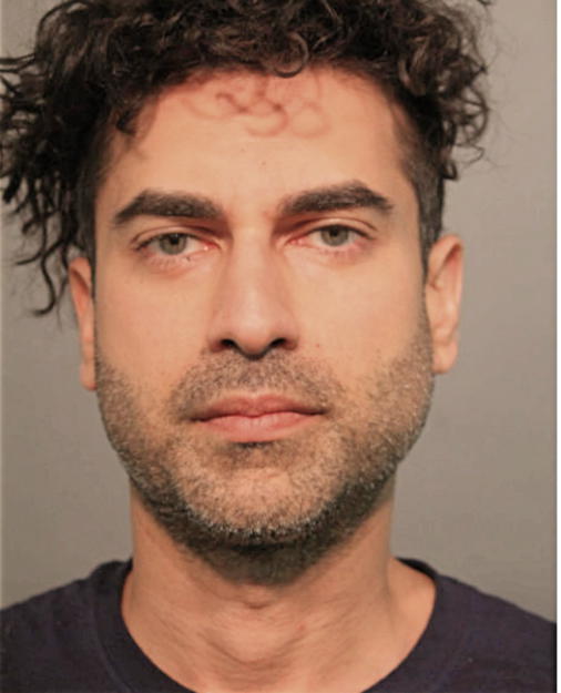MUSTAFA K GHANI, Cook County, Illinois