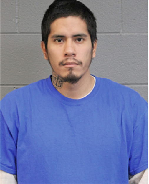 DAFNIZ HERNANDEZ-MANCILLA, Cook County, Illinois
