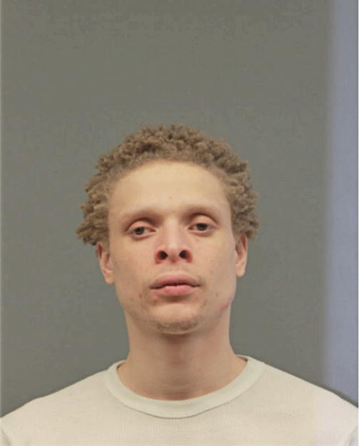 DAIRION R HOLMES, Cook County, Illinois