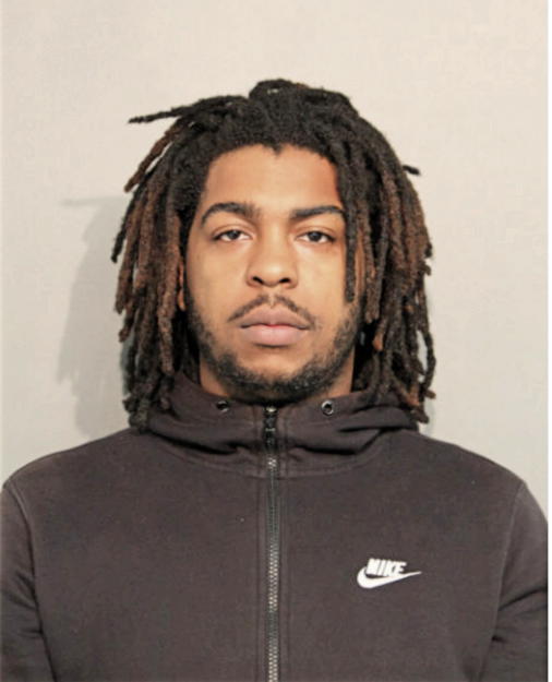 DIAMONDE R HOLTON, Cook County, Illinois