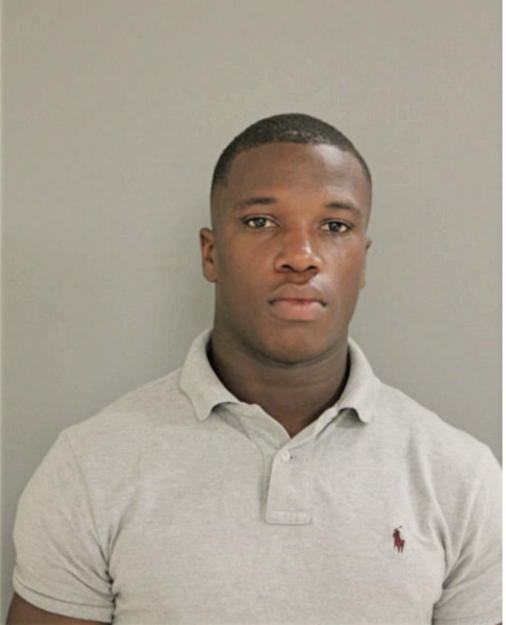 DOMINIC O JOHNSON, Cook County, Illinois