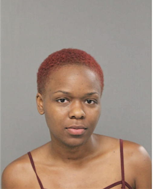 TYESHA N KING, Cook County, Illinois
