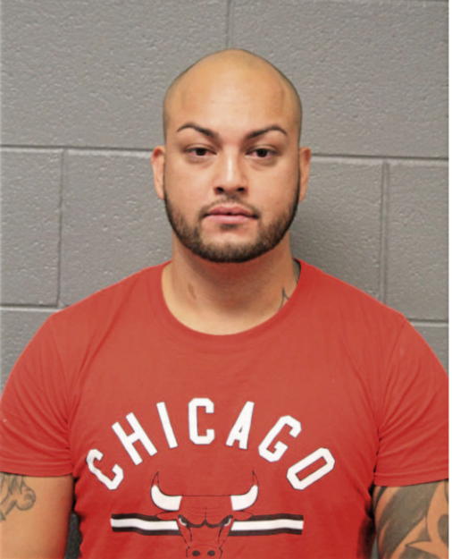 BRYAN LANDEROS, Cook County, Illinois