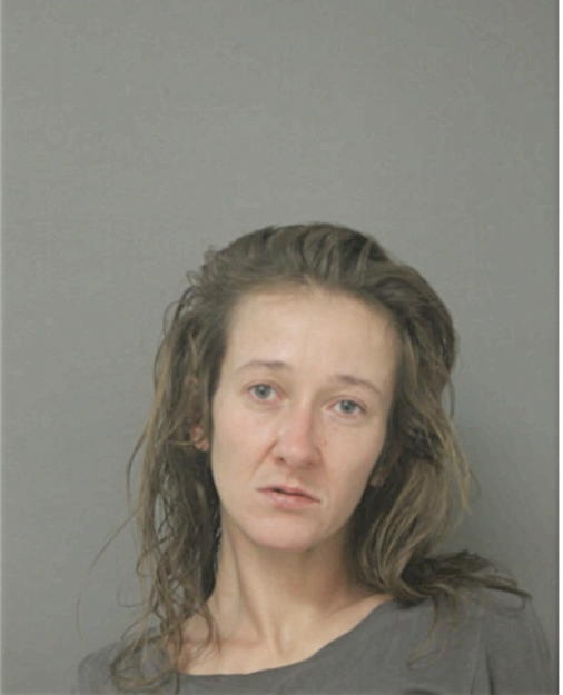 SYLVIA A MATUSZEWSKA, Cook County, Illinois
