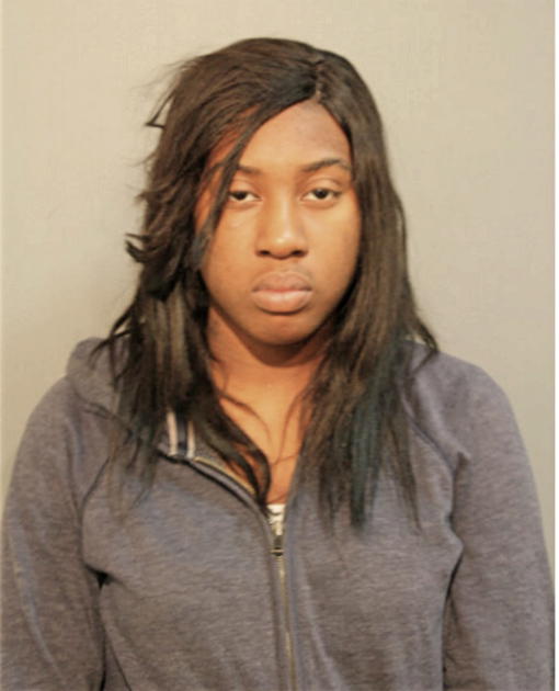 CYNTHIA M NORMAN, Cook County, Illinois