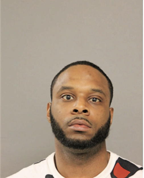 LYNELLE J PERKINS, Cook County, Illinois