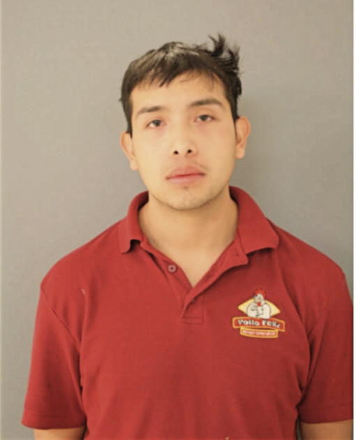 ALEXANDER G PINEDA, Cook County, Illinois