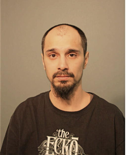 BENSON M RIZZIO, Cook County, Illinois