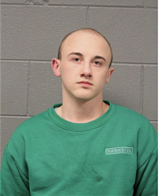 MATTHEW L SASAK, Cook County, Illinois