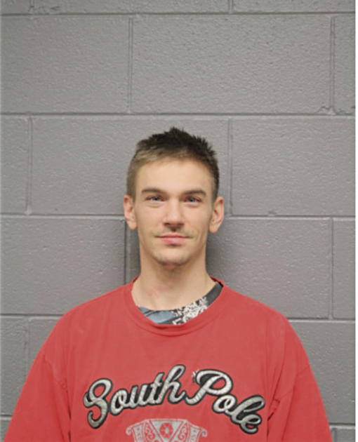 CHRISTOPHER E STAFFORD, Cook County, Illinois