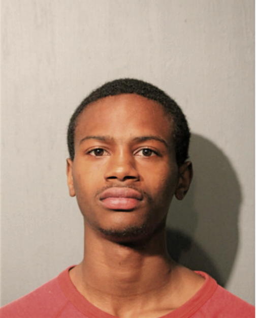 NATHAN T STEWART, Cook County, Illinois
