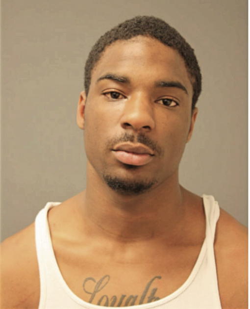 MICHAEL M WILLIAMS, Cook County, Illinois