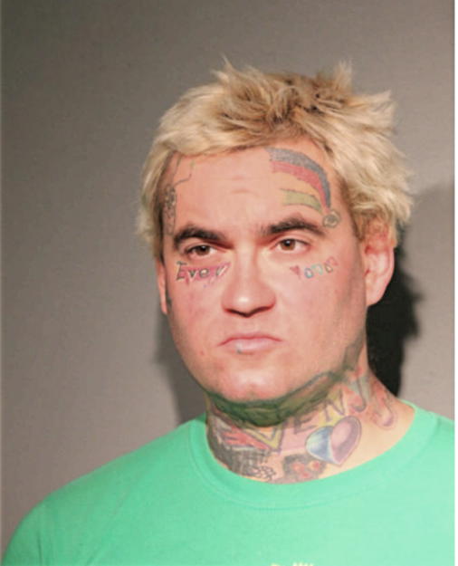 CHRISTOPHER R YOUNG, Cook County, Illinois