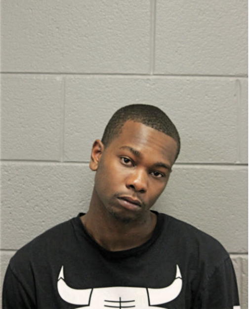 MICHAEL A YOUNG, Cook County, Illinois