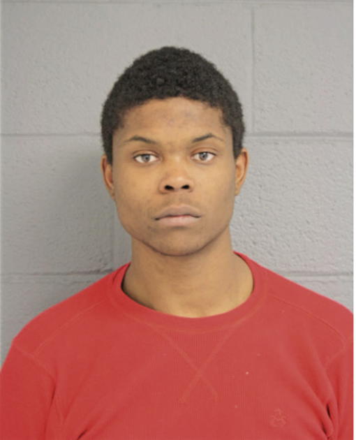 MARK A ADAMS, Cook County, Illinois
