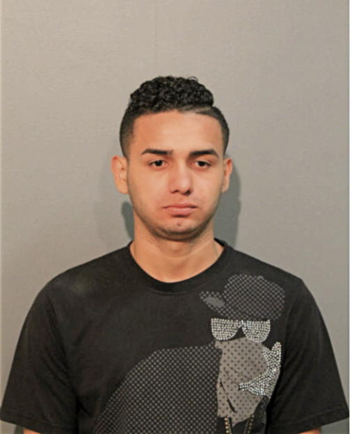 NIXON AMAYA, Cook County, Illinois