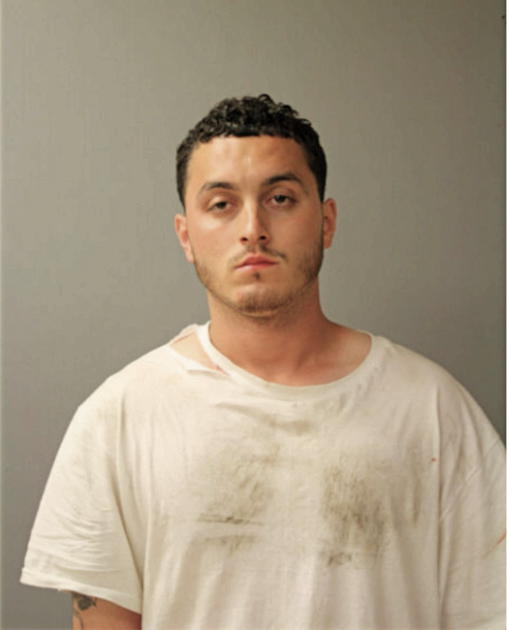 PETER L ARELLANO, Cook County, Illinois