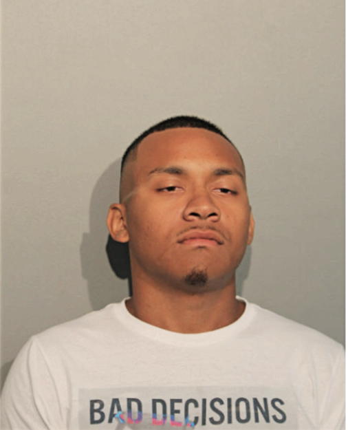 ANDREW L BROWN, Cook County, Illinois