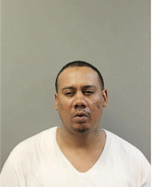 MICHAEL J DAWSON, Cook County, Illinois