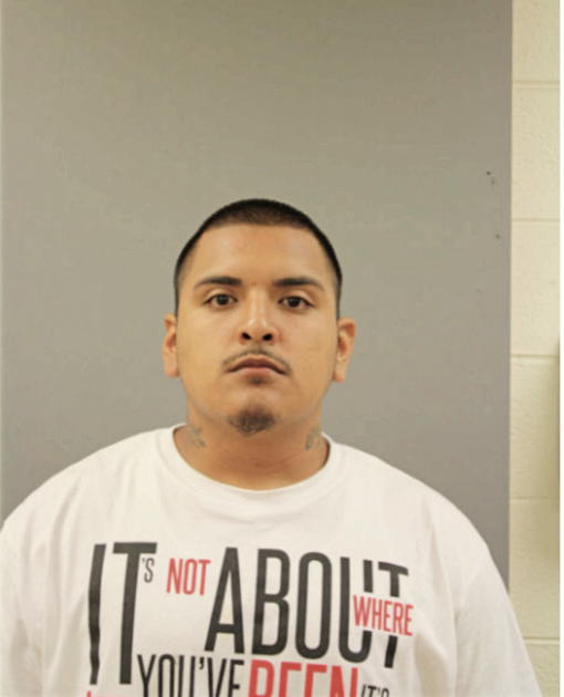 JUAN M DELGADO, Cook County, Illinois