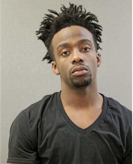 MICHAEL S ELLIS, Cook County, Illinois