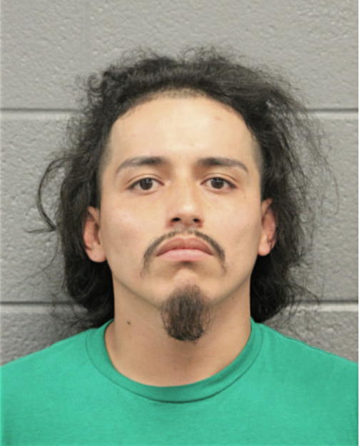 RAFAEL J GARCIA, Cook County, Illinois