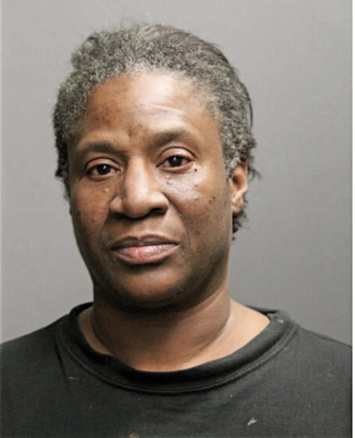 JOYCE A HOLLIND, Cook County, Illinois