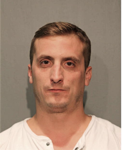 BRIAN J LOPRESTI, Cook County, Illinois