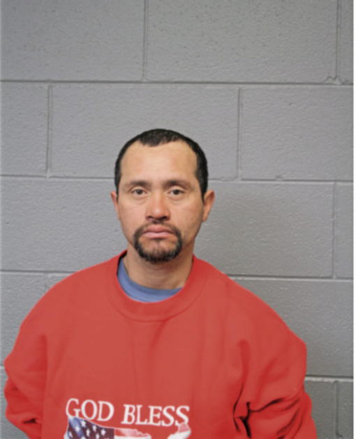 NOEL LUNA, Cook County, Illinois