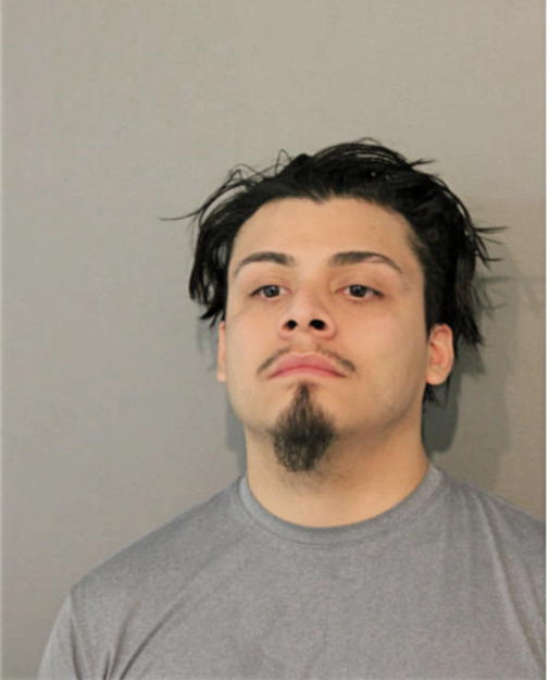 ALFONSO J MARTINEZ, Cook County, Illinois
