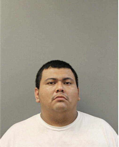 OSCAR MENA, Cook County, Illinois