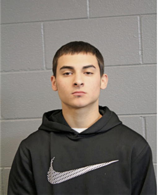 DAVID NAVARETTE, Cook County, Illinois