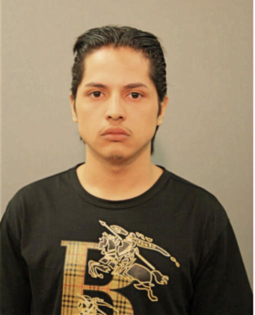 ADAN NUNEZ, Cook County, Illinois