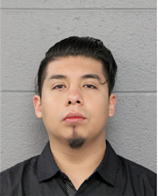 EDGAR ORTEGA, Cook County, Illinois