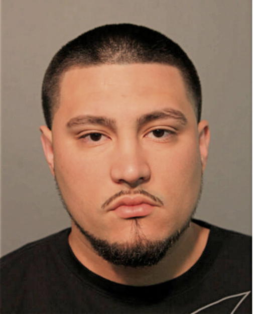FABIO V ORTIZ, Cook County, Illinois