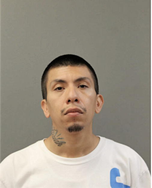 DARIO M RAMIREZ, Cook County, Illinois