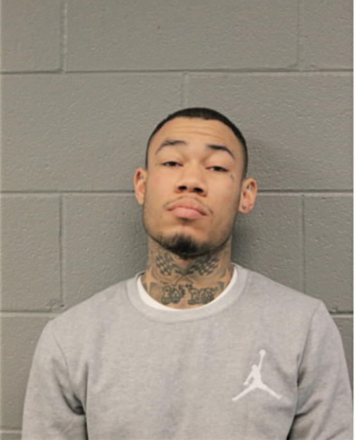 NIKKO ALEXANDER ROGERS, Cook County, Illinois